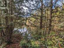 LT 19-20 FIRE ROUTE 67 | Havelock-Belmont-Methuen Ontario | Slide Image Sixteen