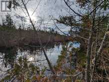 LT 19-20 FIRE ROUTE 67 | Havelock-Belmont-Methuen Ontario | Slide Image Three