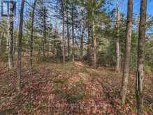 LT 19-20 FIRE ROUTE 67 | Havelock-Belmont-Methuen Ontario | Slide Image Thirteen