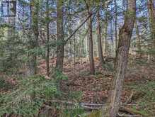 LT 19-20 FIRE ROUTE 67 | Havelock-Belmont-Methuen Ontario | Slide Image Eleven