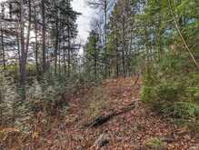 LT 19-20 FIRE ROUTE 67 | Havelock-Belmont-Methuen Ontario | Slide Image Twelve