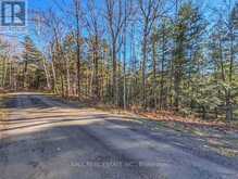 LT 19-20 FIRE ROUTE 67 | Havelock-Belmont-Methuen Ontario | Slide Image Fifteen