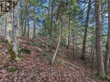 LT 19-20 FIRE ROUTE 67 | Havelock-Belmont-Methuen Ontario | Slide Image Nine