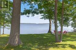 11858 LOYALIST PARKWAY | Prince Edward Ontario | Slide Image Two