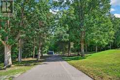 11858 LOYALIST PARKWAY | Prince Edward Ontario | Slide Image Forty-four