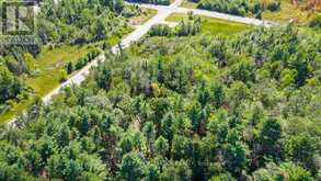 1031 ROAD 506 | Addington Highlands Ontario | Slide Image Nineteen