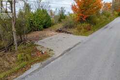 LOT CENTRE LINE | North Kawartha Ontario | Slide Image Nineteen