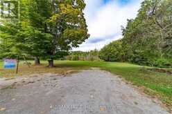 LOT 17 GRANDY ROAD | Coboconk Ontario | Slide Image Twelve