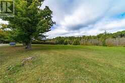 LOT 17 GRANDY ROAD | Coboconk Ontario | Slide Image Thirteen