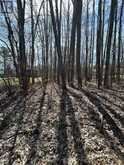 0 POPLAR DRIVE | Bewdley Ontario | Slide Image Two