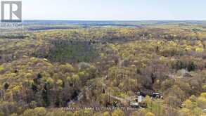 2494 HADLINGTON ROAD | Highlands East Ontario | Slide Image Nine
