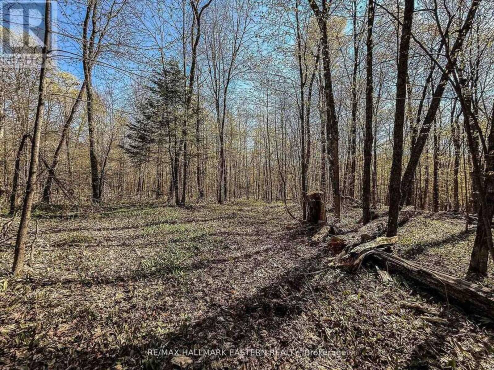 2494 HADLINGTON ROAD, Highlands East, Ontario K0L 2Y0