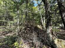 0 SALMON TROUT LAKE ROAD | Bancroft Ontario | Slide Image Twelve