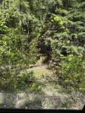 0 SALMON TROUT LAKE ROAD | Bancroft Ontario | Slide Image Thirteen