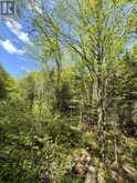 0 SALMON TROUT LAKE ROAD | Bancroft Ontario | Slide Image One