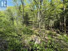 0 SALMON TROUT LAKE ROAD | Bancroft Ontario | Slide Image Three