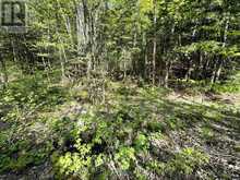 0 SALMON TROUT LAKE ROAD | Bancroft Ontario | Slide Image Four