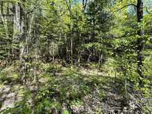0 SALMON TROUT LAKE ROAD | Bancroft Ontario | Slide Image Six