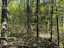 0 SALMON TROUT LAKE ROAD | Bancroft Ontario | Slide Image Seven