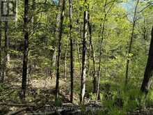 0 SALMON TROUT LAKE ROAD | Bancroft Ontario | Slide Image Eight