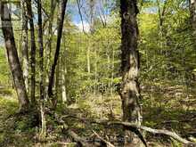0 SALMON TROUT LAKE ROAD | Bancroft Ontario | Slide Image Nine