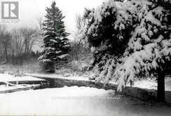 81 MCGUIRE BEACH ROAD | Kawartha Lakes Ontario | Slide Image Thirteen
