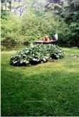 81 MCGUIRE BEACH ROAD | Kawartha Lakes Ontario | Slide Image Forty-one