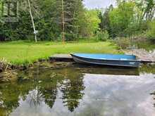 81 MCGUIRE BEACH ROAD | Kawartha Lakes Ontario | Slide Image Six