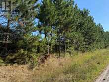 0 DELORO ROAD | Madoc Ontario | Slide Image Two