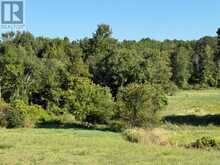 0 DELORO ROAD | Madoc Ontario | Slide Image Six