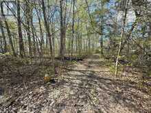0 OAKWOOD LANE | Deseronto Ontario | Slide Image Twelve