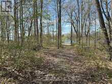 0 OAKWOOD LANE | Deseronto Ontario | Slide Image Thirteen