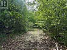 0 OAKWOOD LANE | Deseronto Ontario | Slide Image Two
