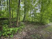 0 OAKWOOD LANE | Deseronto Ontario | Slide Image Three