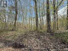 0 OAKWOOD LANE | Deseronto Ontario | Slide Image Eight