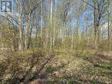 0 OAKWOOD LANE | Deseronto Ontario | Slide Image Nine