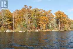 LOT 2 - C280 LOWER BUCKHORN LAKE | North Kawartha Ontario | Slide Image Two
