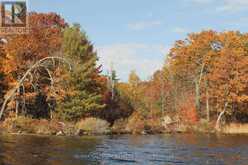 LOT 2 - C280 LOWER BUCKHORN LAKE | North Kawartha Ontario | Slide Image Four