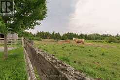 1662 11TH LINE | North Kawartha Ontario | Slide Image Forty