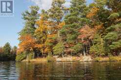 LOT 1 - C280 LOWER BUCKHORN LAKE | North Kawartha Ontario | Slide Image Three