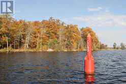 LOT 1 - C280 LOWER BUCKHORN LAKE | North Kawartha Ontario | Slide Image Four