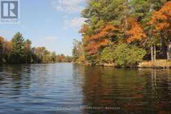 LOT 1 - C280 LOWER BUCKHORN LAKE | North Kawartha Ontario | Slide Image One