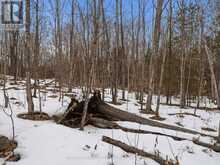 PT LT 34 DENNISON ROAD | Tweed Ontario | Slide Image Nineteen