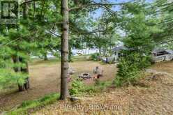 17 FIRE ROUTE 88A | Apsley Ontario | Slide Image Forty-six