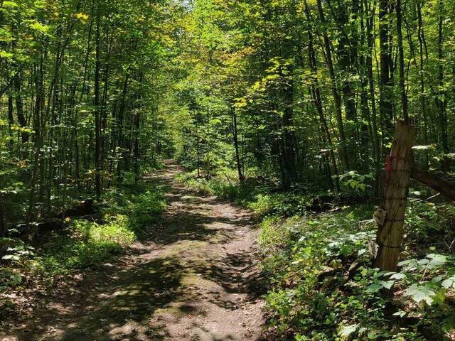 0EAST1 ROAD ALLOWANCE ROAD Havelock-Belmont-Methuen Ontario, K0L 1Z0 - Vacant Land For Sale
