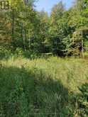 0EAST1 ROAD ALLOWANCE ROAD | Havelock-Belmont-Methuen Ontario | Slide Image Three