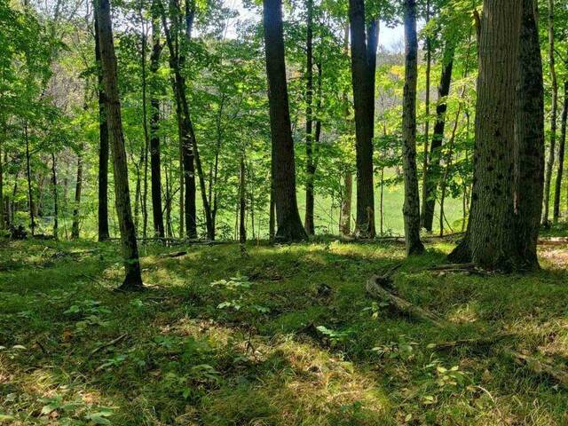 0EAST2 ROAD ALLOWANCE ROAD Havelock-Belmont-Methuen Ontario, K0L 1Z0 - Vacant Land For Sale
