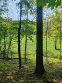 0EAST2 ROAD ALLOWANCE ROAD | Havelock-Belmont-Methuen Ontario | Slide Image Two