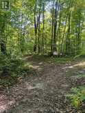 0EAST2 ROAD ALLOWANCE ROAD | Havelock-Belmont-Methuen Ontario | Slide Image Four