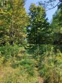 0EAST2 ROAD ALLOWANCE ROAD | Havelock-Belmont-Methuen Ontario | Slide Image Five
